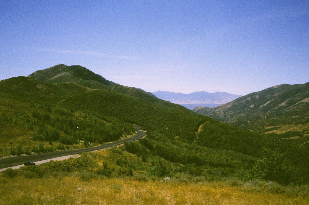 Harman Phoenix II 200 35 mm