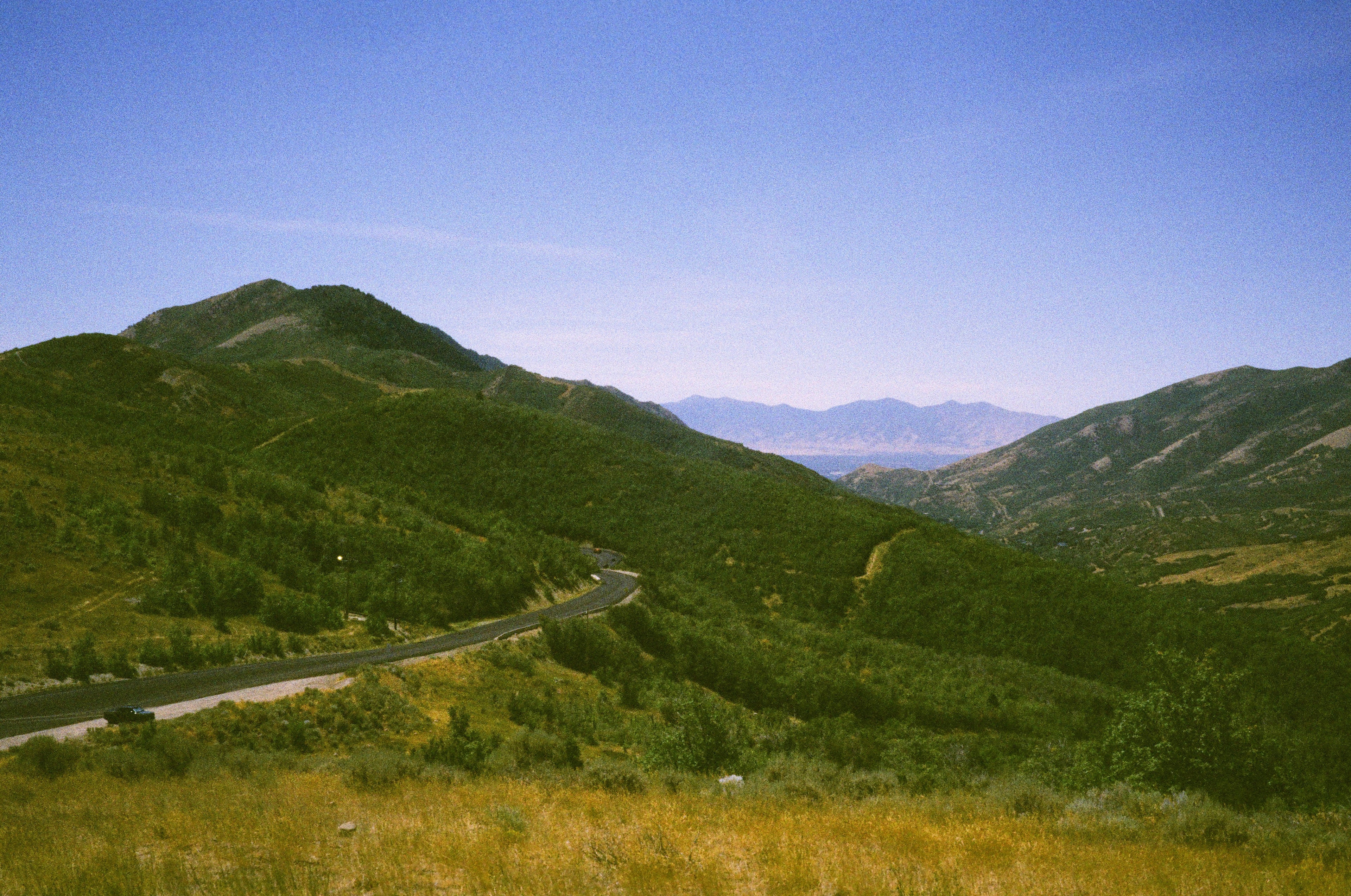 Harman Phoenix II 200 35 mm