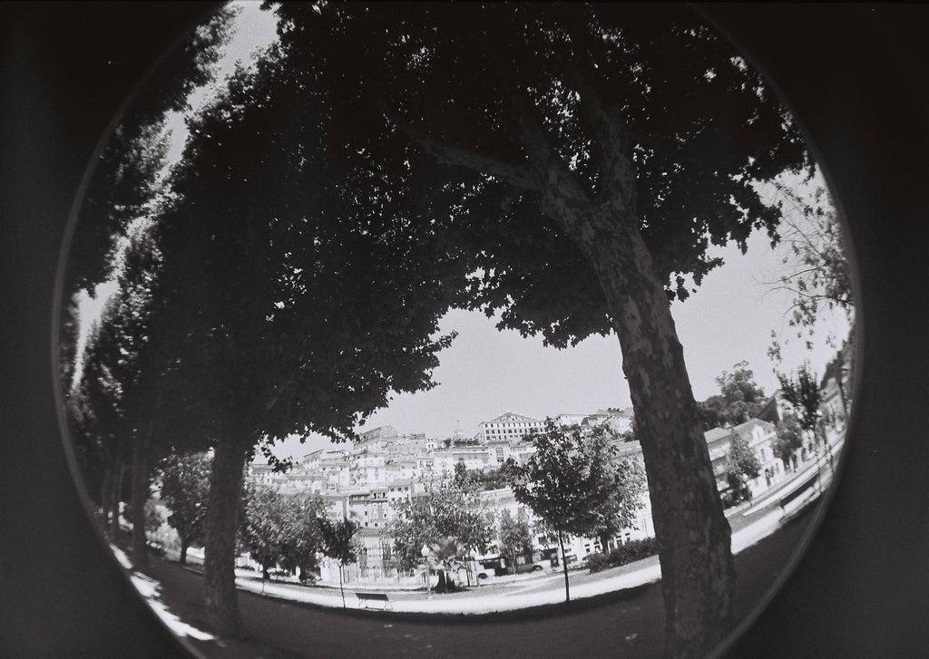 Kentmere 400 35mm