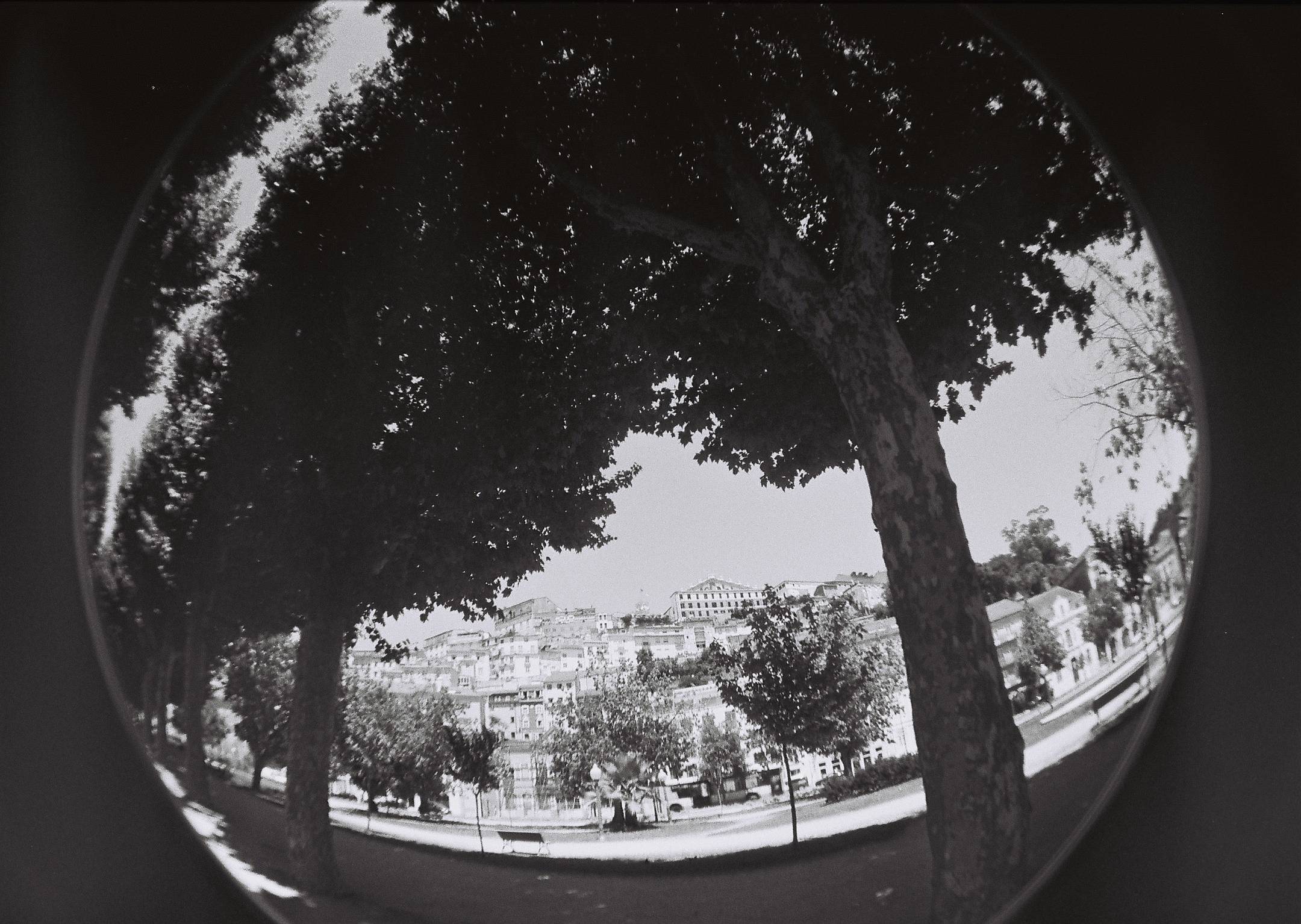 Kentmere 400 35mm Rebobinado