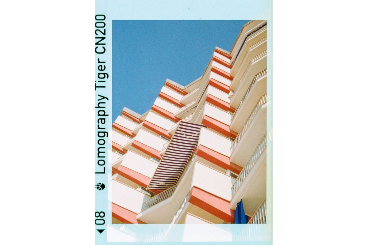Lomography Tiger Color Negative Film (110 Cartridge, 24 Exposures)