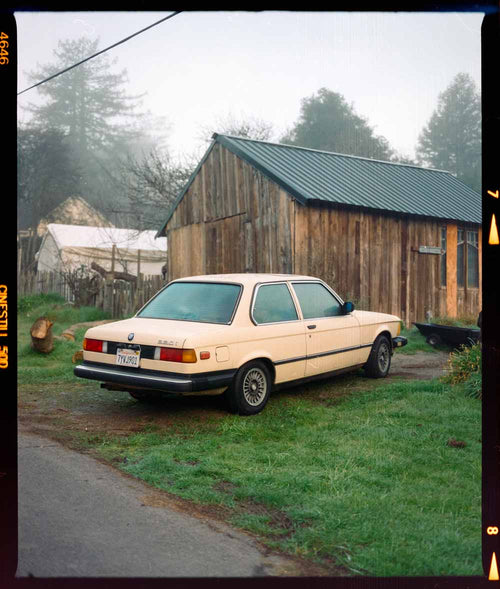 CineStill 50D 35mm