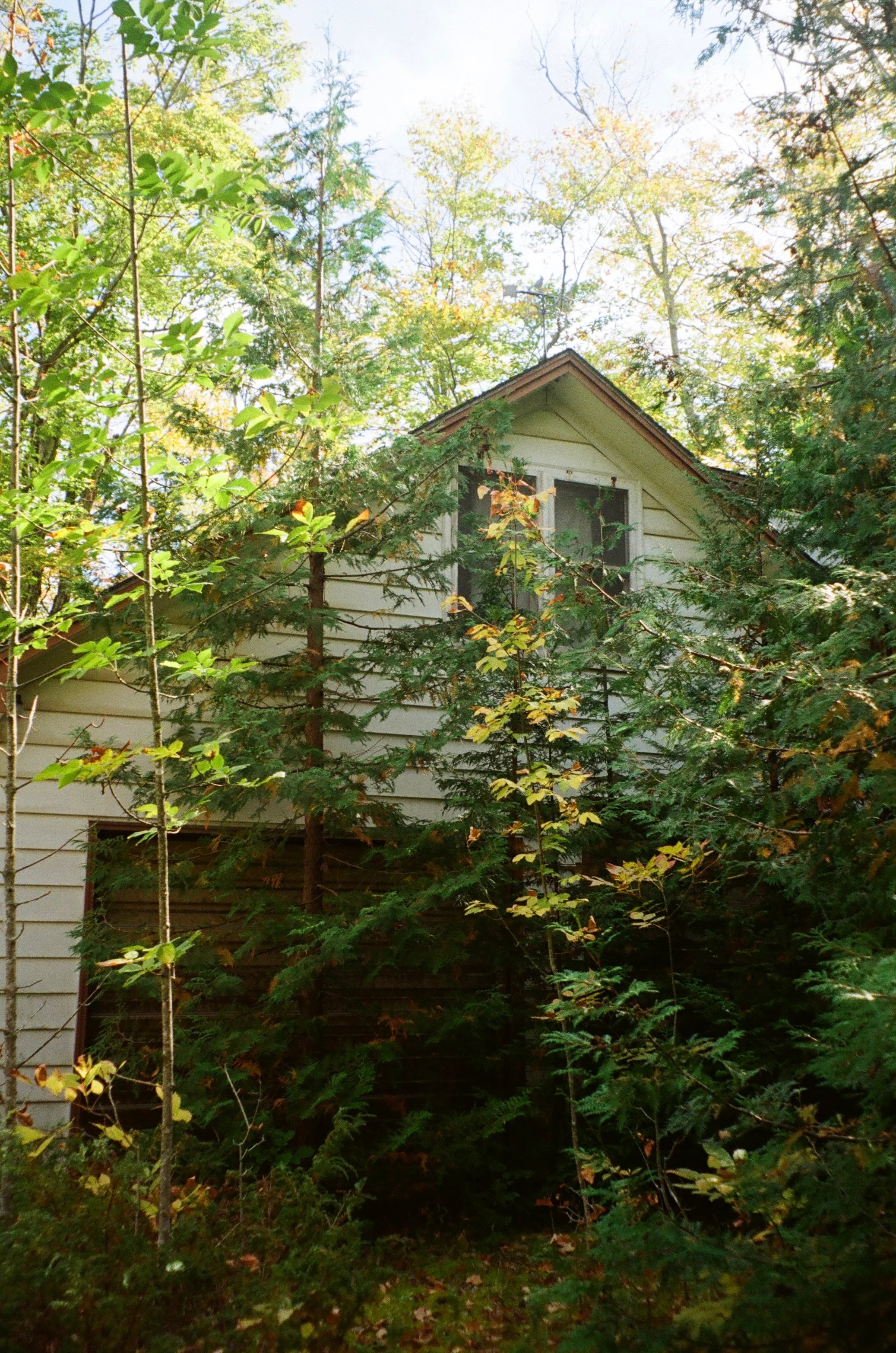 Kodak Gold 200 35 mm