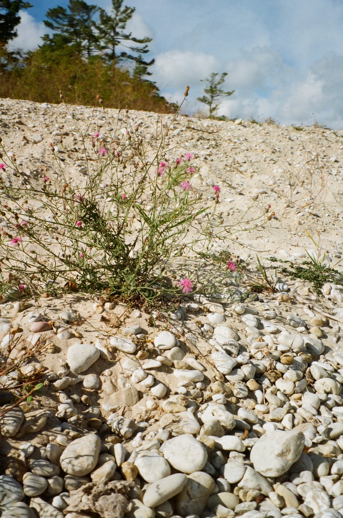 Kodak Kodacolor 200