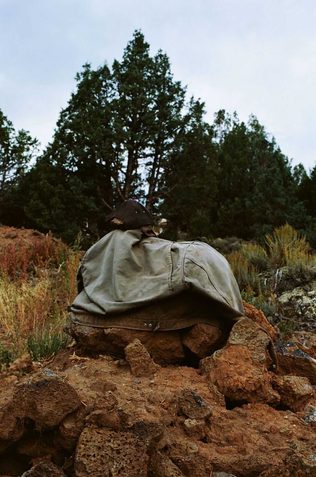 Kodak Ektar 100 120