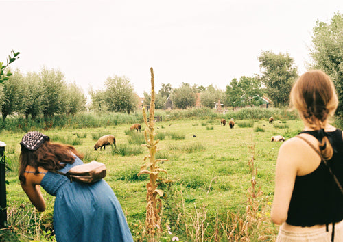 Fujifilm 200 35mm