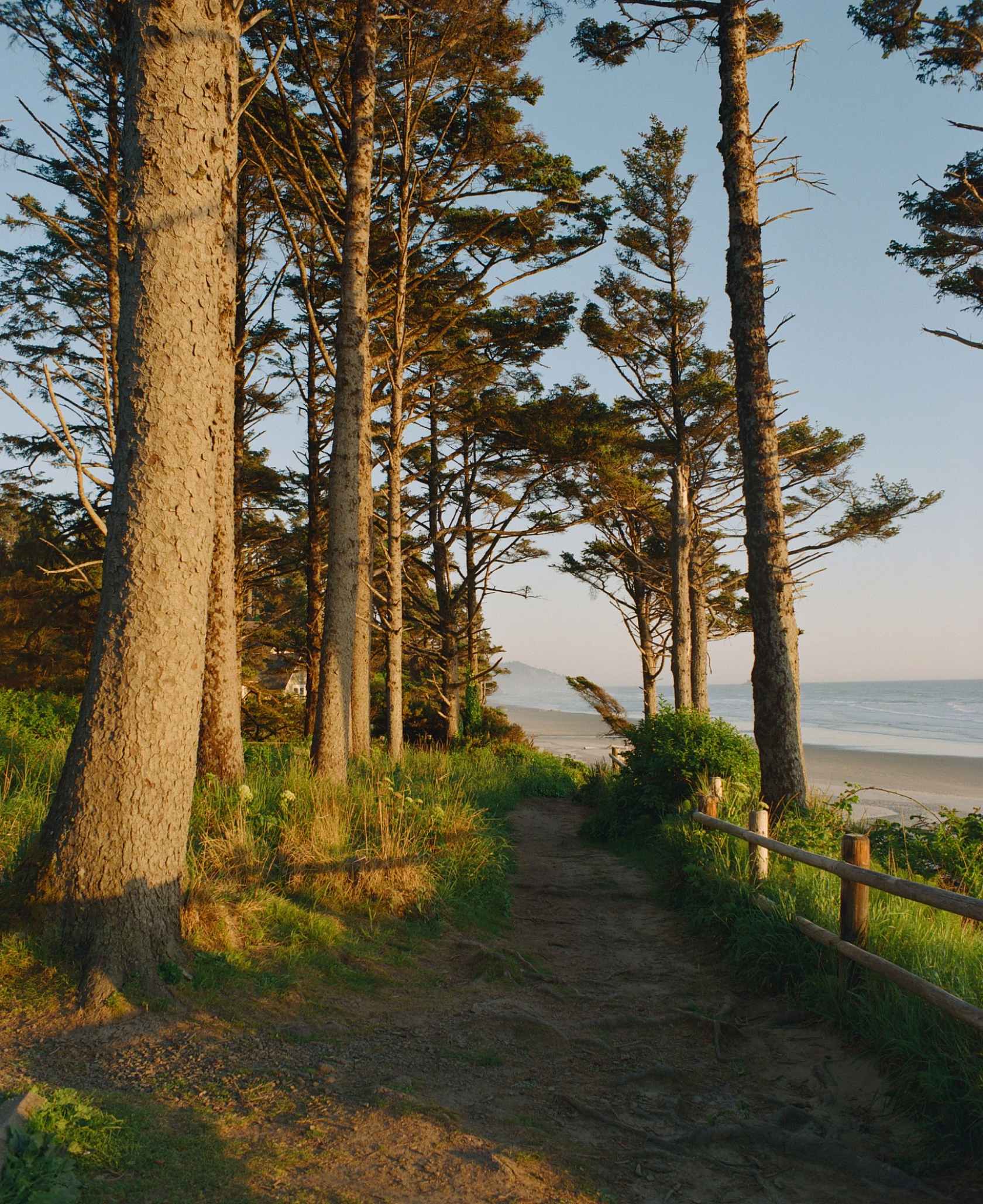Kodak Ektacolor Pro (Portra) 800 120