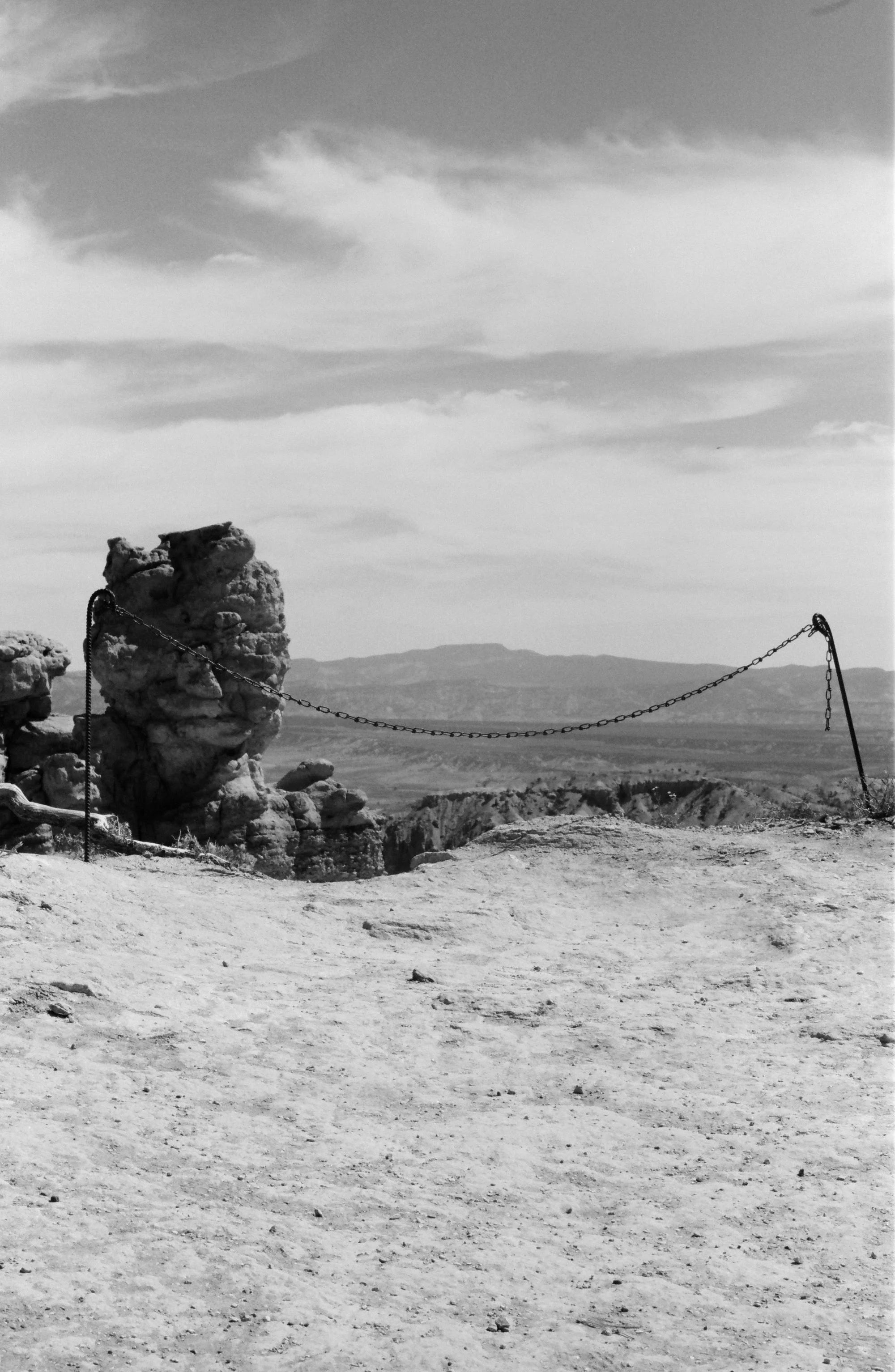 Kodak T-Max 100 120